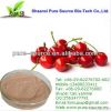 10:1 cherry extract/10:1 cherry powder/10:1 acerola cherry extract