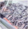 Digital printing with ...