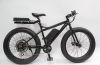 2014 New Fat Tire 48V 1000W Beach Ebike+LCD Display+48V 12Ah Battery