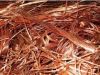Red Copper Scrap 99.9%...