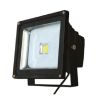 LED Edison Flood Light...