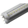 T8 LED tube light 