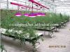 Cidly led grow light U...