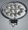 36W Oval Shape LED Wor...