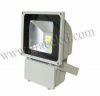 100W COB Solar LED Flo...