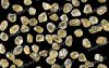 diamond micron powder,...