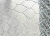 hexagonal wire mesh