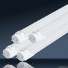 LED T8 Tubes