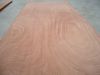0.30mm Sapele wood veneer