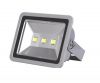LED Flood Light
