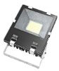 LED Flood Light-100W
