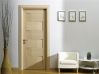 contemporary front doors