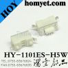 China Manufacturer SMD Tact Switch with 2pin (HY-1101ES-H5W)