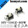 Shenzhen Factory 3*6mm Tact Switch (HY-1101V-H45)