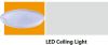 LED ceiling light