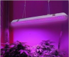 LED WATERPROOF PLANT L...
