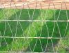 Horse Fencing - Non Cl...