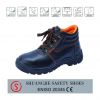 anti-static steel toe ...
