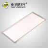 Led panel light 300*60...