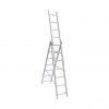 Extension Ladder with ...