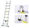Magic Telescopic Ladder