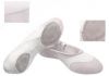 Canvas Dance Shoes