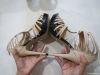 Shoes&Footwear Ins...