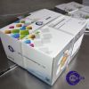 Carbonless paper conti...