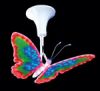 butterfly light