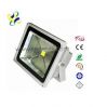 LED Flood light with C...