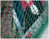 pvc coated chain link ...