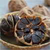 90 days fermentation black garlic buy direct from creekbay 