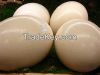 Fresh Brown and White Ostrich Eggs