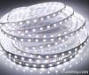 JYX-3528W60D led strip