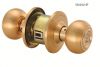 HGJ5011 golden roundne...