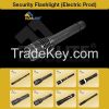 LED Security Flashligh...