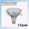 LED Par38 Light 