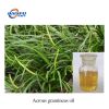 Acorus Gramineus Oil Natural Essential Oil Food and Fragrance Grade