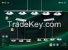 Pendant LED Lights