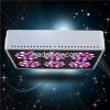 LED grow light