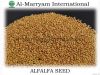 Alfalfa Seed