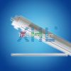 T8 LED tube light CE R...