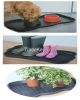 Storage tray Home Shoe...