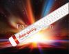 LED tube Dien Quang (1...
