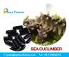 GMP Certified sea cucu...