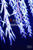 Outdoor decoration led...