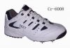 Cricket Shoe