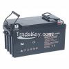 Auto/Truck Battery-Tel...