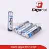AM4 alkaline battery L...