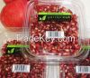Fresh Vegetables and Fruits from India